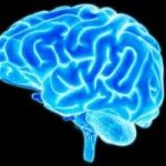 http://supplementtalks.com/mindzr-brain-booster/