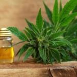 http://www.grabbydeal.com/naturalx-cbd-oil/