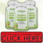 http://topteethwhiteningtips.com/naturally-inspired-garcinia/
