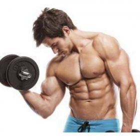 The body muscle power Cover Up 